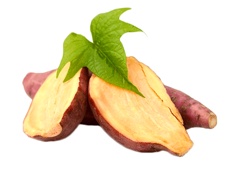 Radice di yacon in Reduslim